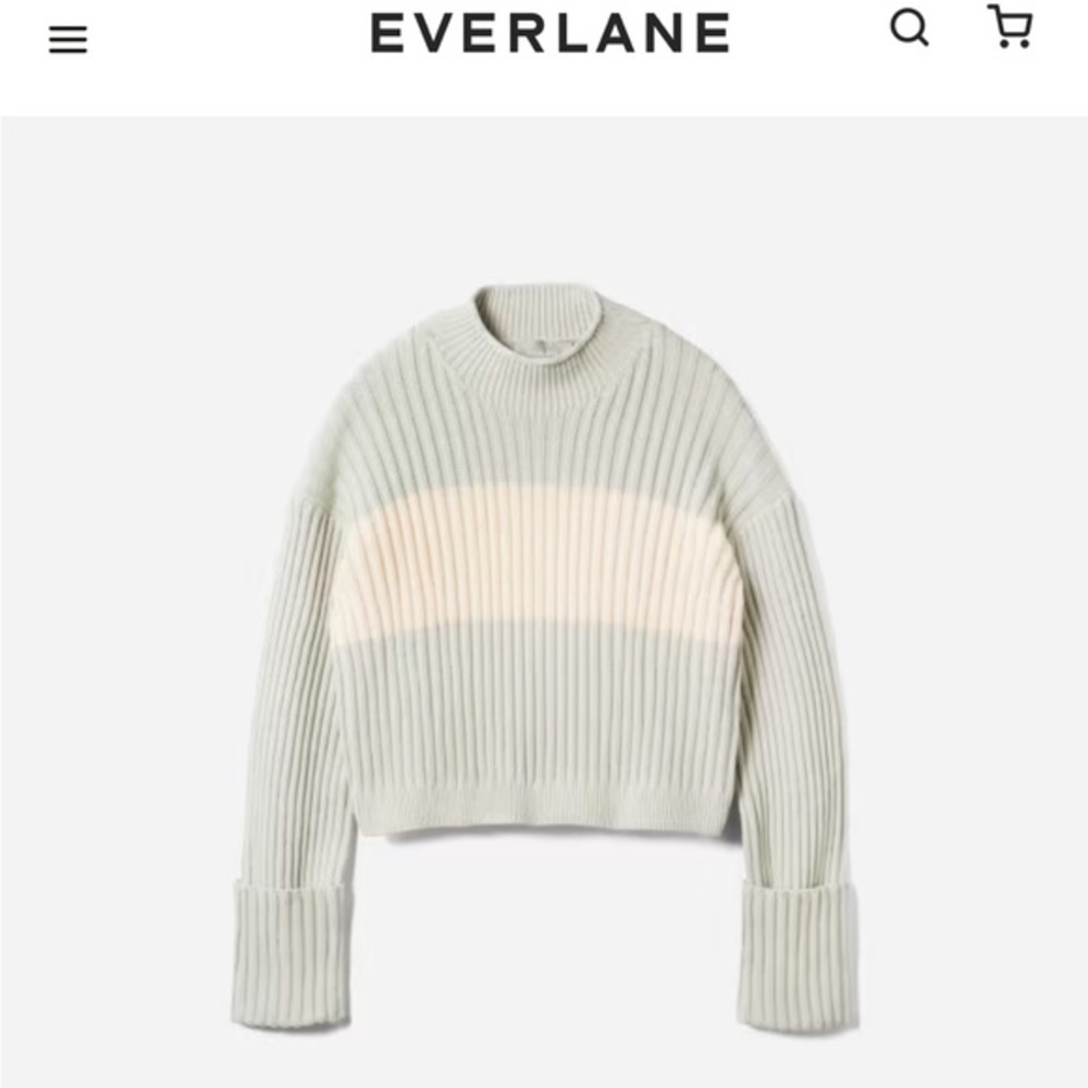Everlane Cotton Ribbed Rollneck Sweater‎